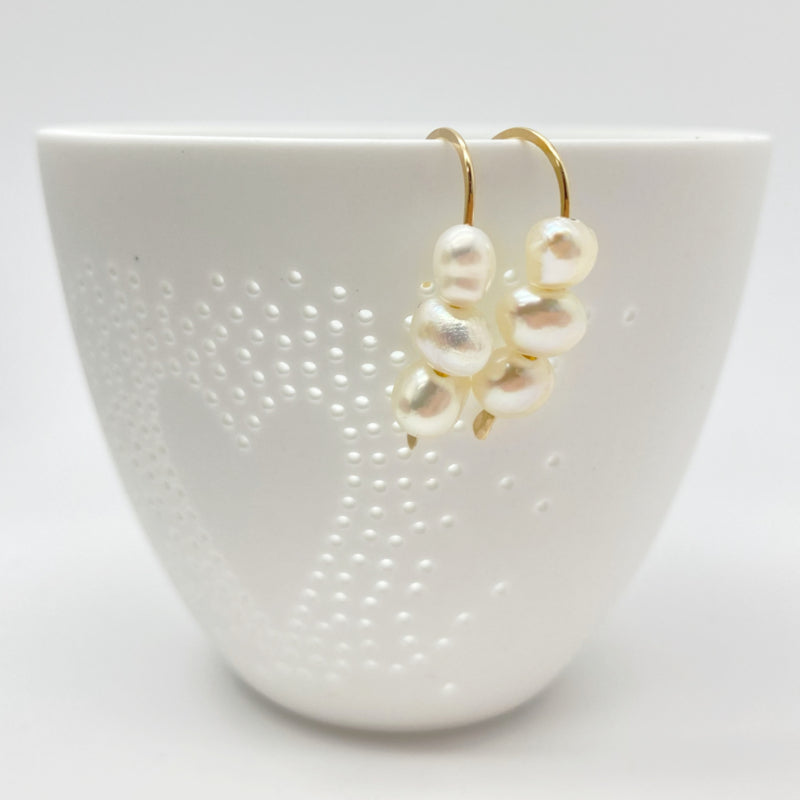 14K Gold Filled Oorbellen Met Parels