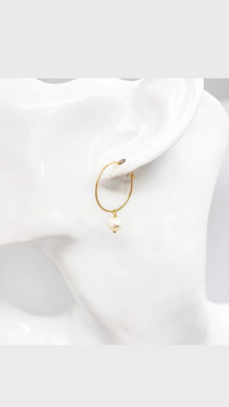 14K Gold Filled Oorbellen Met Parel