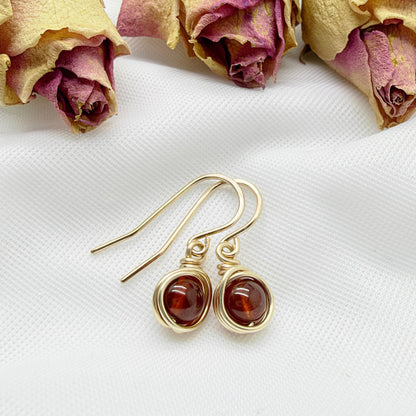 14k gold filled oorbellen met hessoniet granaat