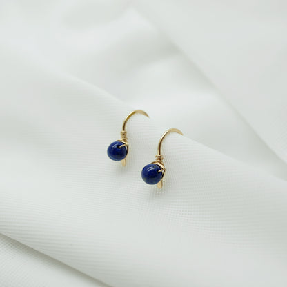 14K Gold Filled Oorbellen Met Lapis Lazuli