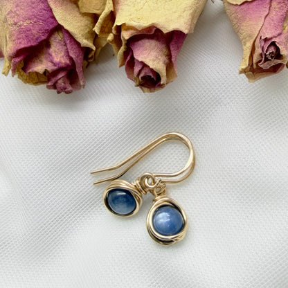 Handgemaakte 14k gold filled oorbellen met kyaniet